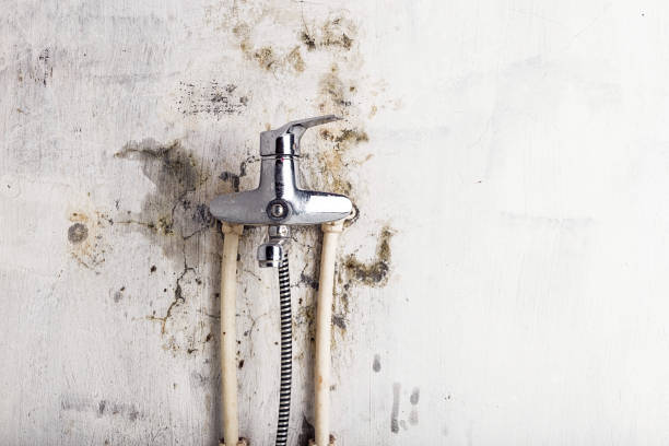 Best Water Damage Restoration  in Sunbury, OH