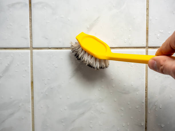 Best Mold Removal Near Me  in Sunbury, OH