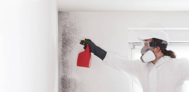 Best Mold Testing  in Sunbury, OH