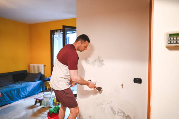Best Attic Mold Removal  in Sunbury, OH
