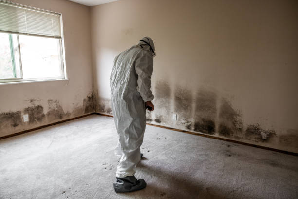 Best Crawl Space Mold Removal  in Sunbury, OH